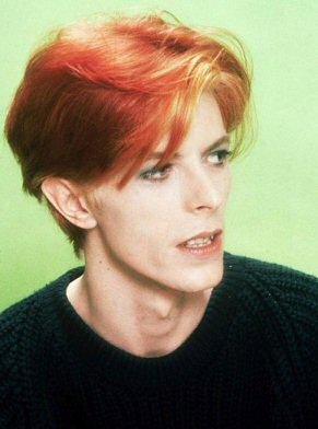 David Bowie el ansia ziggy