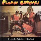 flamin groovies teenage head album cover portada