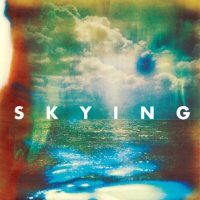 the horrors skying album review disco portada cover