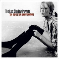 the last shadow puppets the age of the understatement cover