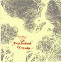 strawbs from the witchwood album review criticas de discos