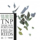 these new puritans field of redes album cover portada