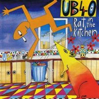 ub40 rat in the kitchen