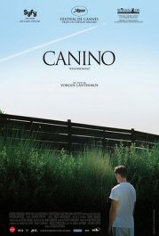 canino cartel poster
