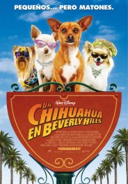 un chihuahua en beverly hills movie poster cartel pelicula
