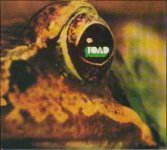 toad band rock discos albums