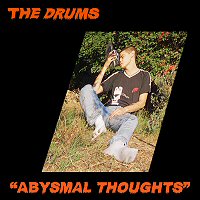 the-drums-abysmal-thoughts-album