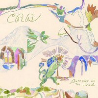 chris-robinson-brotherhood-barefoot-in-the-head-album