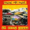 neutral-milk-hotel-on-avery-island-album