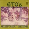 gtos-permanent-damages-album