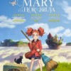 mary-flor-bruja-cartel-animacion