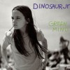 dinosaur-jr-review-albums-green-mind