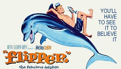flipper-television-delfin
