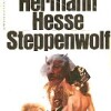 hermann-hesse-lobo-estepario-critica-novelas
