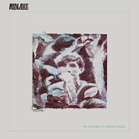midlake-for-sake-bethel-woods-album