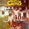 casa-cactus-poster-sinopsis
