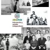 peliculas-japonesas-imprescindibles-anos-50