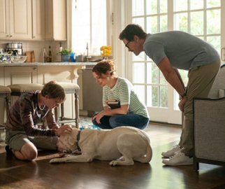 critical-review-of-rob-lowe's-lost-dog