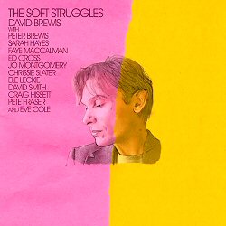 david-brewis-the-soft-struggles-album