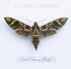 cowboy-junkies-such-ferocious-beauty-album-2023