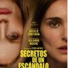 secretos-escandalo-may-december-poster-critica-sinopsis