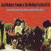 Acid Mothers Temple – Have You Seen The Other Side of the Sky (2006)