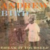 Andrew Bird – Break It Yourself: Avance