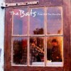 The Bats – Free All The Monsters: Avance