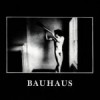 Bauhaus – Reedición (In The Flat Field – 1980): Versión