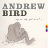 Andrew Bird: Avance