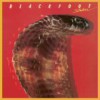 Blackfoot – Reedición (Strikes – 1979): Versión