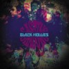 Black Hollies – Casting Shadows (2007)
