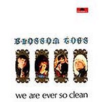 blossom toes we are ever so clean disco album critica review cover portada