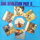 bob marley soul revolucion