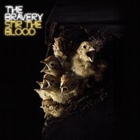 the bravery stir the blood album review