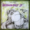 Dinosaur Jr. – You’re Living All Over Me (1987)