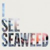 The Drones – I See Seaweed: Avance