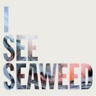the drones i see seaweed album cover portada