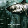 Dry the River – Shallow Bed: Avance