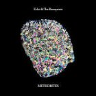 echo and the bunnymen meteorites album disco 2014 cover portada