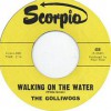 Richard Hell & The Voidoids – Versión de Walking In The Water (Golliwogs): Versión