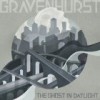 Gravenhurst – The Ghost In Daylight: Avance