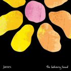 james the gathering sound album cover portada