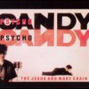 The Jesus And Mary Chain – Upside Down – Elf Power: Versión