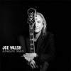 Joe Walsh – Analog Man: Avance