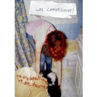 los campesinos we are beautiful we are doomed