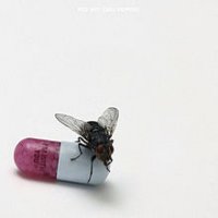 red hot chili peppers im with you cover portada disco album