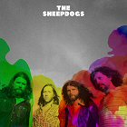 the sheepdogs album 2012 cover portada