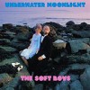 The Soft Boys – Underwater Moonlight (1980)
