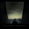 Steven Wilson. Insurgentes (2008)